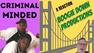 Boogie Down Productions KRSOne  Criminal Minded  A Reaction [upl. by Leftwich]