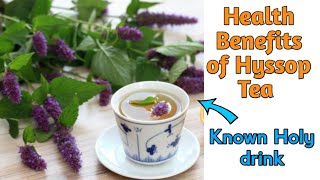 Hyssop Tea A Holy Beverage with Extraordinary Benefits Not Many Know [upl. by Airamas]