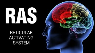 Reticular Activating System [upl. by Rabbi]