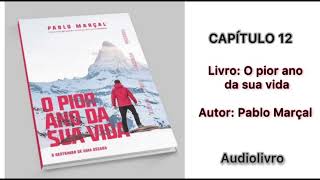 Audiolivro  O pior ano da sua vida  Pablo Marçal  Capítulo 12 [upl. by Ernst491]