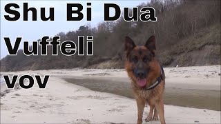 Shu Bi Dua Vuffeli vov Denmarks Best Dog song [upl. by Ylrac]