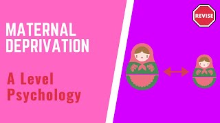 A Level Psychology  Maternal Deprivation [upl. by Durgy]