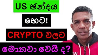 US ඡන්දය හෙට  CRYPTO වලට මොනවා වෙයි ද [upl. by Eidna]