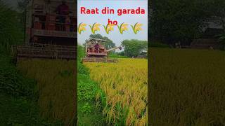 Short video raaton garada ho 🌾🌾🌾🌾🌾🌺 [upl. by Griselda]