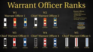 US Military All Branches WARRANT OFFICER RANKS Explained  What is a Chief Warrant Officer [upl. by Nnyleimaj]