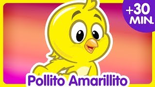 POLLITO AMARILLITO  Compilado de Clips 30 min  Canciones infantiles de la Gallina Pintadita [upl. by Normac211]