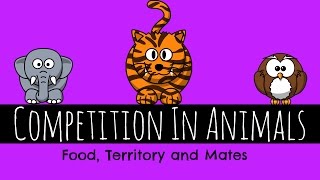 Competition In Animals  Food Territory and Mates  GCSE Biology [upl. by Riebling]