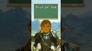 Trial of the Sword Skip 101  Breath of the Wild Glitches [upl. by Eiwoh]