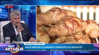 Napi aktuális  Lentner Csaba 20231110  HÍR TV [upl. by Alliuqal126]