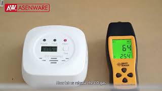 How to test Carbon Monoxide Detector with real CO [upl. by Klehm]