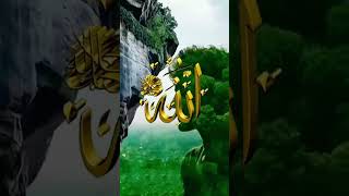 ALLAH KI MOHABBAT ❤️ shorts viralvideo trending youtubeshorts [upl. by Aihsenor]