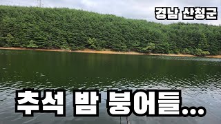 붕어들이 다 떠 있다  붕어낚시  노지낚시  전층낚시  내림낚시  민물낚시  へらぶな  crucian carp carp fishing [upl. by Cinimod]