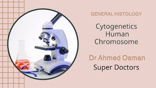 Cytogenetics Human Chromosome General Histology [upl. by Aisatal799]