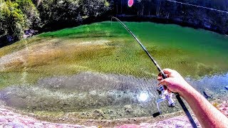 La Diga delle Sorprese  Pesca alla Trota in Torrente [upl. by Liagabba103]