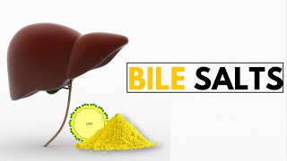 The Shocking Truth About Bile Salts and Your Digestive Health [upl. by Merfe390]