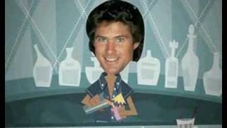 The HOFF Likes to PARTY [upl. by Ojybbob]