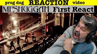 Meshuggah quotDancers To A Discordant Systemquot reaction ep554 [upl. by Si]