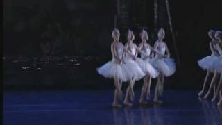 Swan Lake Act II  Cygnets Dance [upl. by Adnuhser]