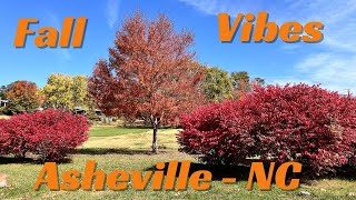 Happy jazz for autumn vibes in Asheville NC  Beaver Lake [upl. by Neerom]