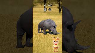 Learn Wild Animals in Chinese：Lets guess what this is｜儿童故事｜中文学习｜中文故事｜ [upl. by Durrett664]