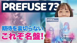 【Prefuse 73】期待を裏切らない名盤！HIPHOP×エレクトロニック！ [upl. by Ettennat]