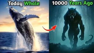 The Evolution of Whale  From Land To Sea 10000 Years Ago  Animal Evolution  CreatorEducate [upl. by Acimad]