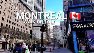 Video Tour Montreal Quebec Canada Sainte Catherine Street [upl. by Nassah]