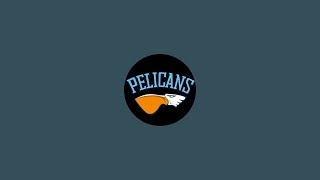 Pelicans SB P14 [upl. by Anivad560]