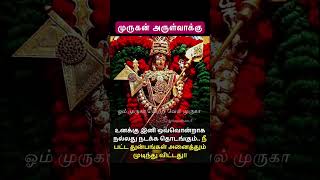 திருச்செந்தூர் முருகன் அருள் வாக்கு  Tiruchendur Murugan Temple lordmurugan tamil god ஓம்சரவணபவ [upl. by Bellda]