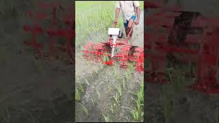 paddy weeder rs 13000 9787672239 melur madurai d TN🇮🇳🙏3 [upl. by Ydnahs]