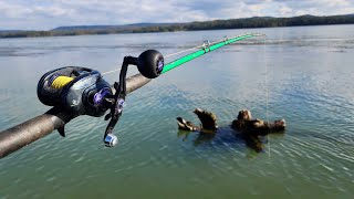 BIG FISH Live in SUBMERGED STUMPS Fall Fishing [upl. by Alyahsal]