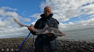 SHORT SESSION ON THE HOUNDS bristolchannel minehead [upl. by Mayfield]