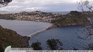 Procida La riserva naturale di Vivara [upl. by Nicholle972]