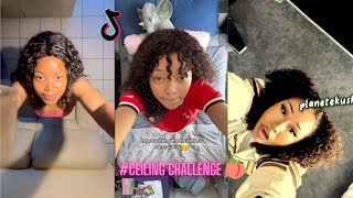 Ceiling Challenge Tiktok Dance Part 1 [upl. by Einolem256]