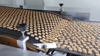 biscuit production line in exhibition（shanghai bakery exhibition） [upl. by Atworth]