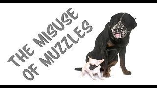 The misuse of muzzles in dog training [upl. by Onileva]