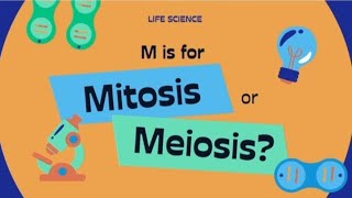 Mitosis Vs MeosisMitosis amp Meosis DifferencesCell cycleScience GkBiology LecturesCell Division [upl. by Assilrac]