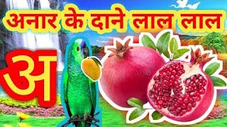 अनार के दाने लाल लाल  आम खाते मिठू लाल। अ से ज्ञ तक ।swarvyanjan  hindi varnamala  a se anar aa [upl. by Orimlede]