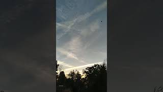 Stratospheric aerosol injection 24 hours a day for last 3 days garden sky [upl. by Latrice]