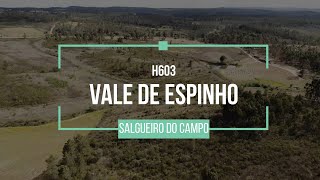 For sale H603 Vale de Espinho 48 hectares  â‚¬ 35000 [upl. by Island]