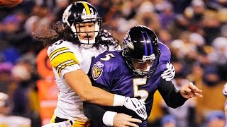 Top 5 Troy Polamalu Career Plays  NFL [upl. by Ssecnirp]