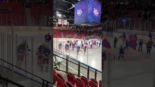 Vålerenga Ishockey oslo [upl. by Malvin]