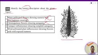 Identify the correct description about the givenfigure1 Water pollinated flowers showing stamens [upl. by Bovill]