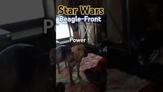 Star Wars BEAGLEFront with Emperor PUPatine ftDarthBriBoy starwars flutterpie beaglepup [upl. by Mccormick]