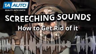 Screeching Sound When Braking in Reverse Simple Steps to Get Rid of the Noise in Your Car or Truck [upl. by Annej766]