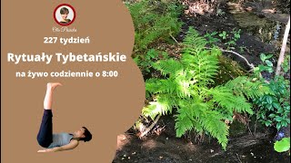 🧘Rytuały Tybetańskie – tydzień 227 dzień 2 [upl. by Enelime]