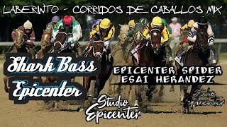 Laberinto  Corridos De Caballos Mix Colaboracion Epicenter [upl. by Trelu]