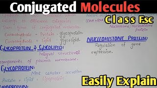 Conjugated Molecules  Class 11 Biology [upl. by Eohce]