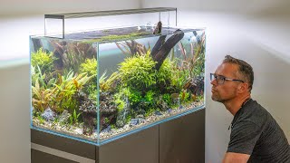 Pro Grade High Tech Aquascape Makeover 4K [upl. by Wallford299]