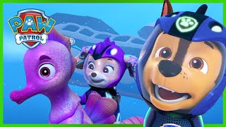 Aqua Pups Save the Whale Patroller  PAW Patrol Episode  Cartoons for Kids [upl. by Etezzil]